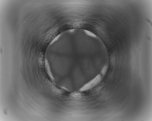 X0000102230181200808151738