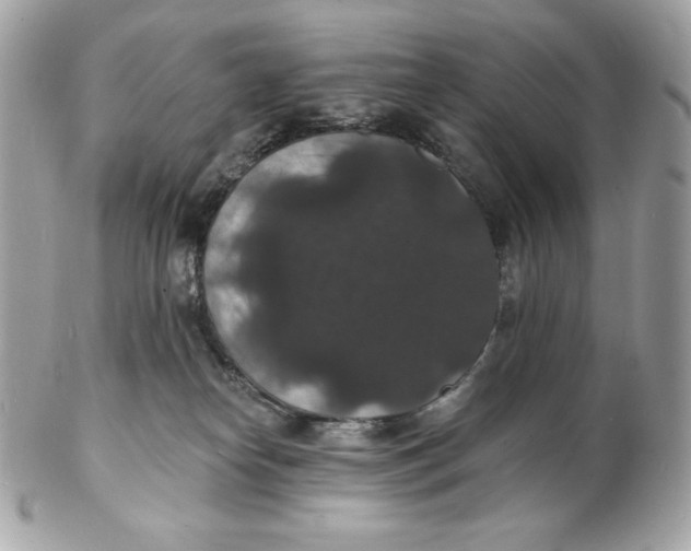X0000102230182200808151738