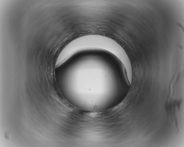 X0000102230184200808151738