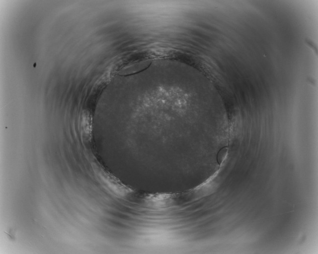 X0000102230186200808151738