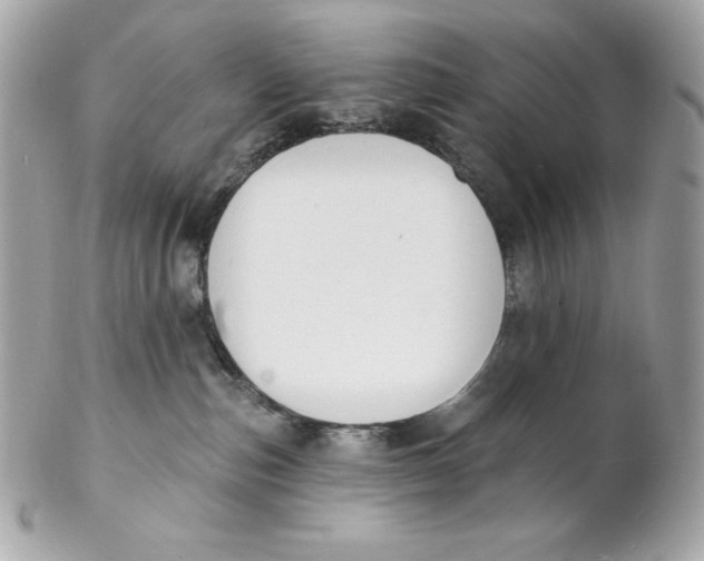 X0000102230187200808151738