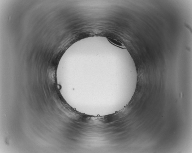 X0000102230188200808151738