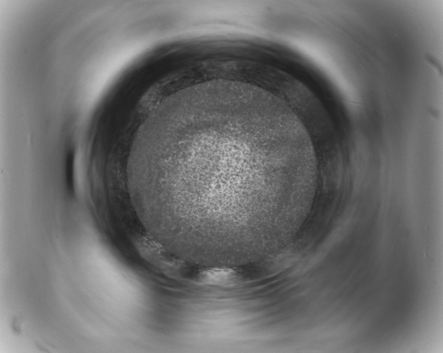 X0000102230189200808151738