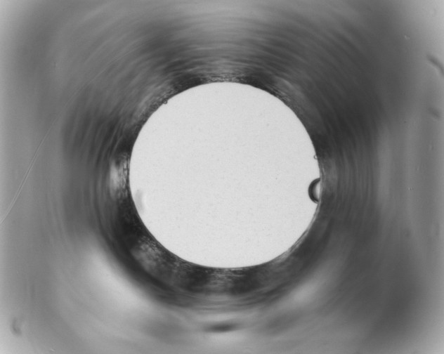 X0000102230190200808151738