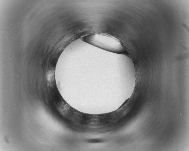 X0000102230191200808151738