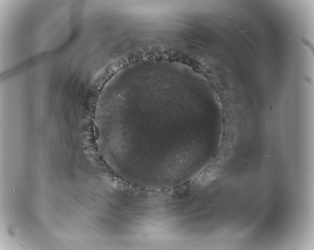 X0000102230192200808151738