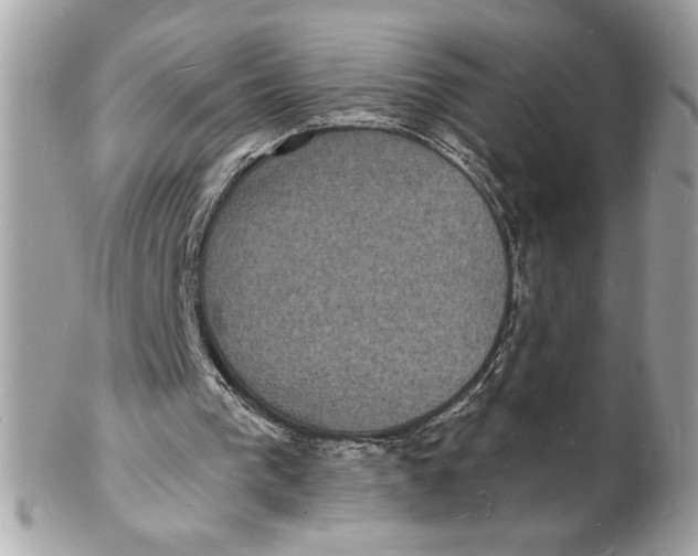 X0000102230193200808151738