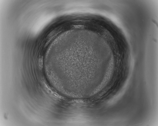 X0000102230194200808151738