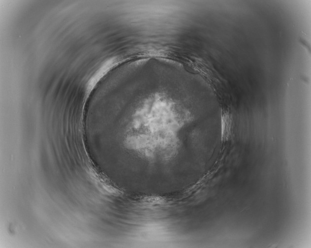 X0000102230195200808151738