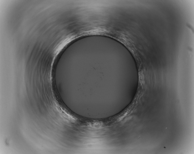 X0000102230196200808151738