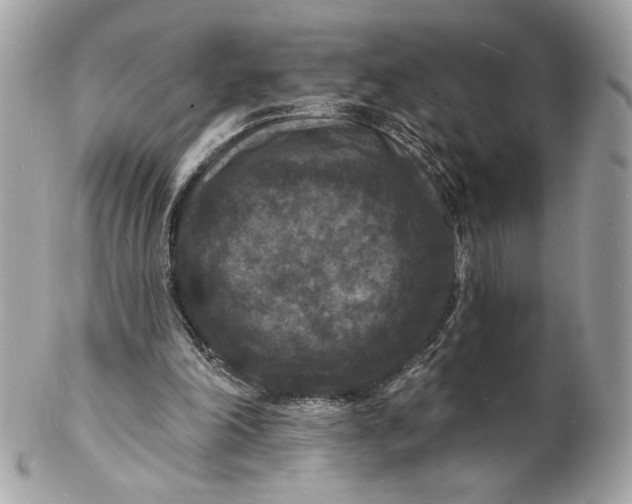 X0000102230198200808151738