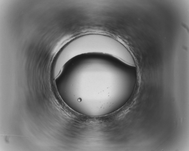 X0000102230199200808151738