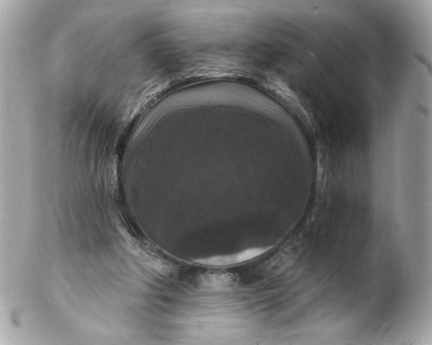 X0000102230202200808151738