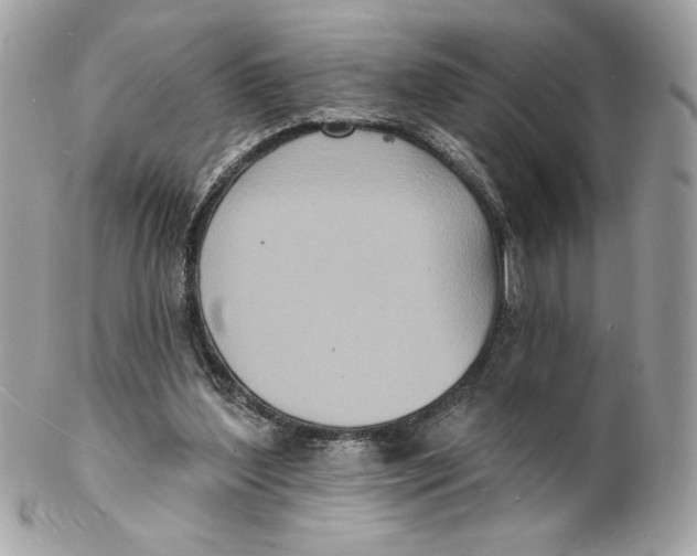 X0000102230204200808151738