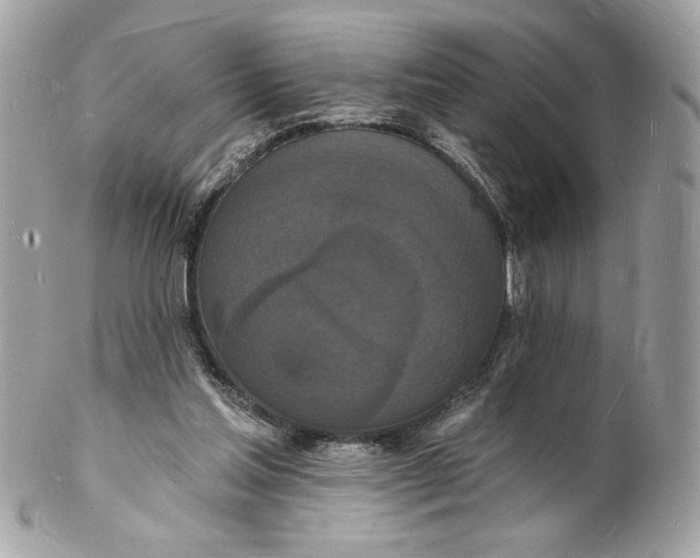 X0000102230205200808151738