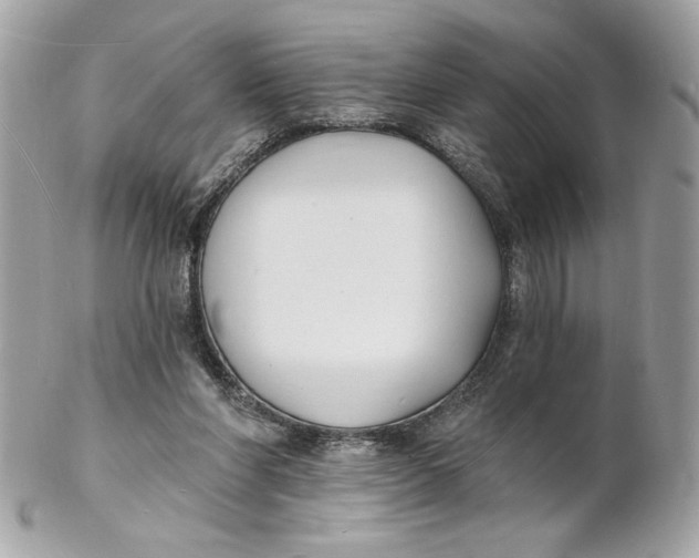X0000102230206200808151738