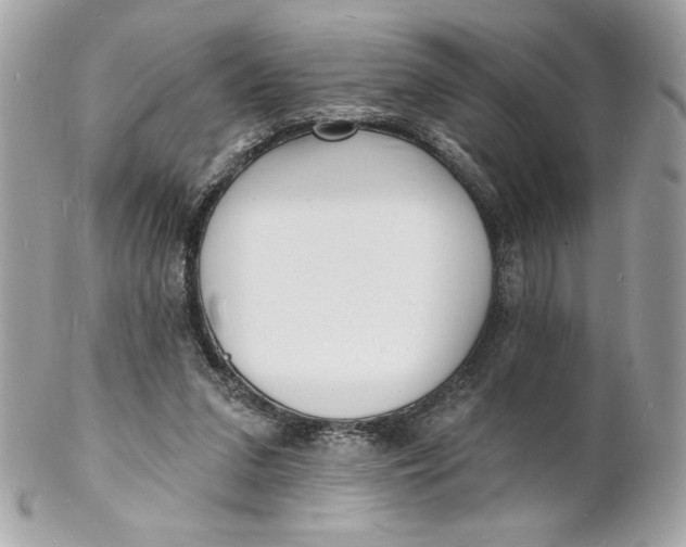 X0000102230207200808151738