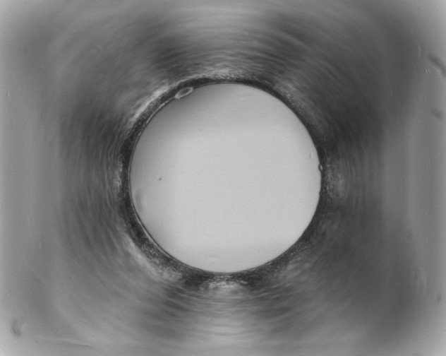 X0000102230208200808151738