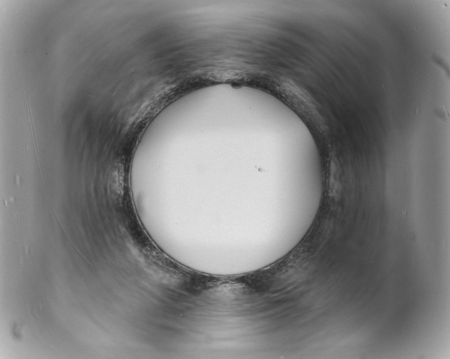 X0000102230210200808151737