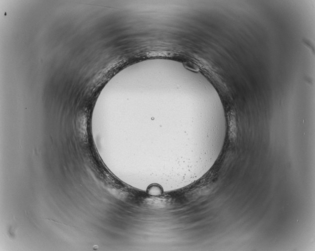 X0000102230211200808151737