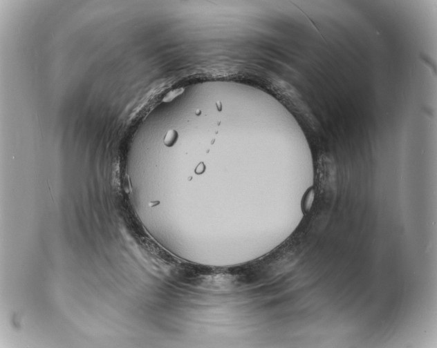 X0000102230212200808151737
