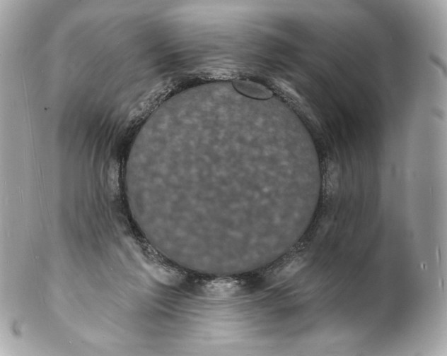X0000102230213200808151737