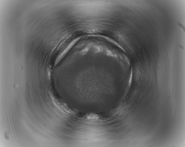 X0000102230214200808151737