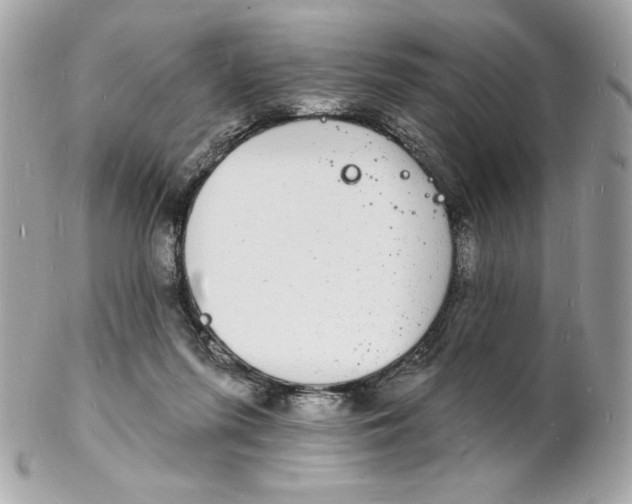 X0000102230215200808151737