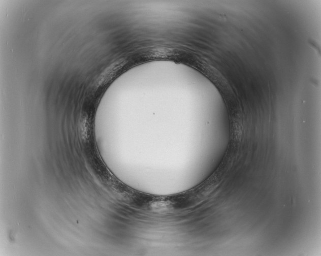 X0000102230216200808151737