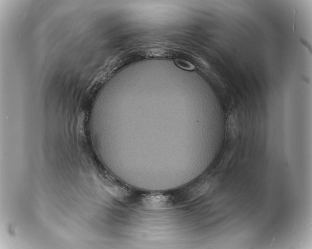 X0000102230217200808151737