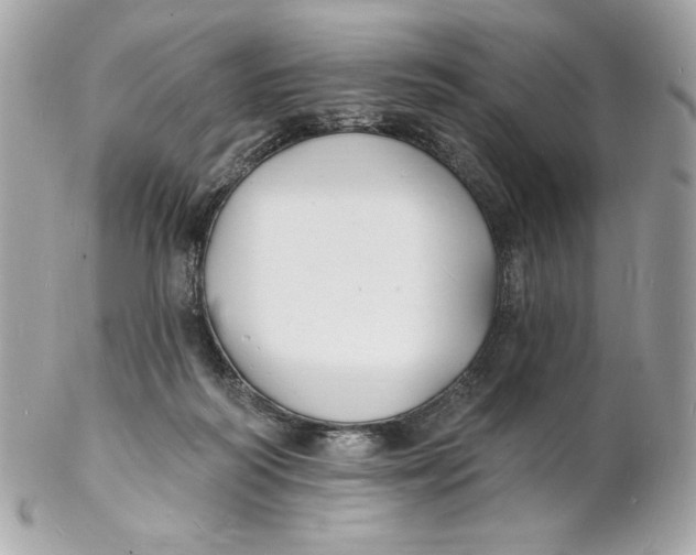 X0000102230218200808151737