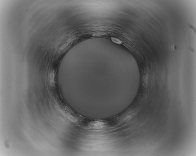 X0000102230219200808151737