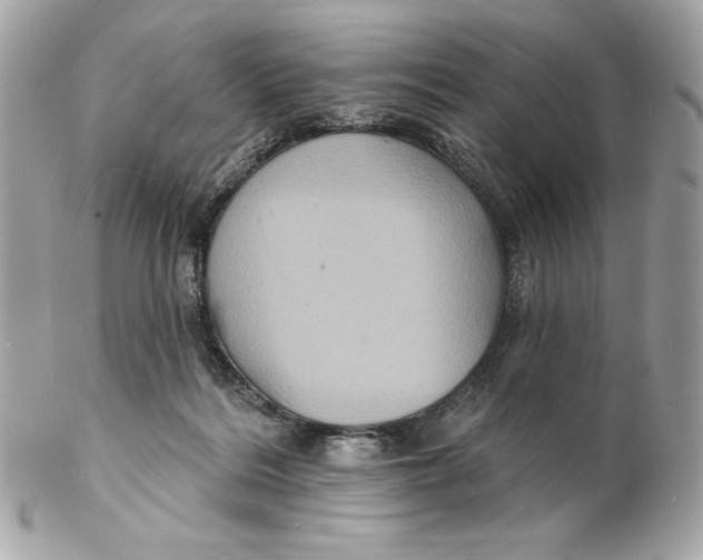 X0000102230220200808151737