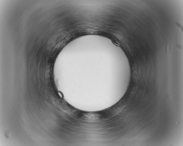 X0000102230221200808151737