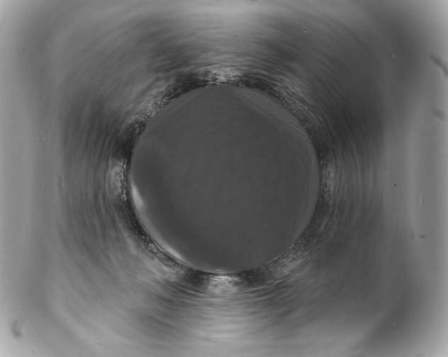 X0000102230222200808151737