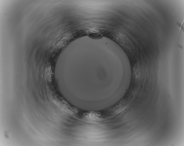 X0000102230223200808151737