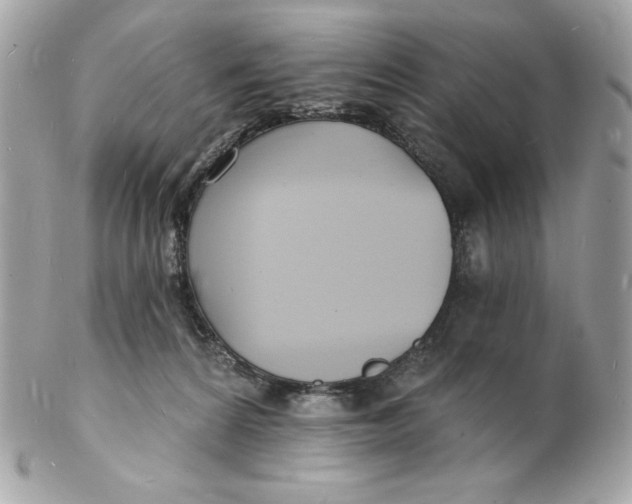 X0000102230224200808151737