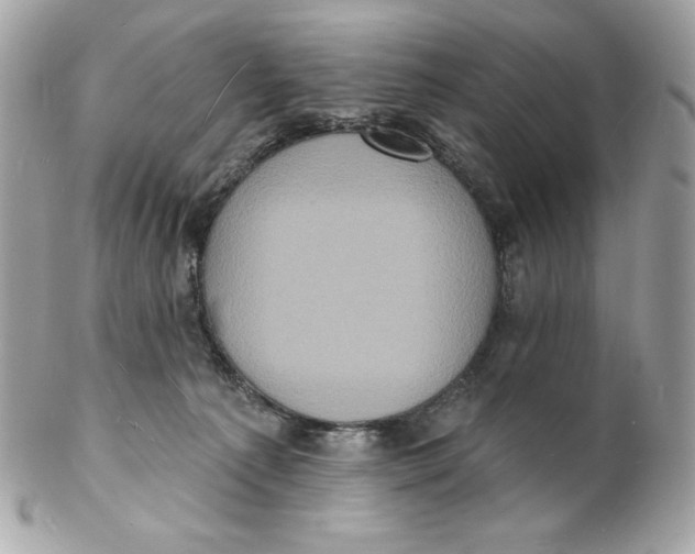X0000102230225200808151737