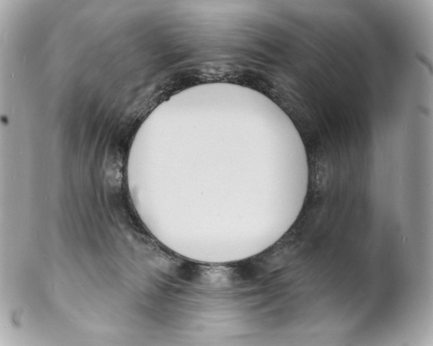 X0000102230226200808151737