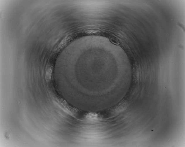 X0000102230227200808151737