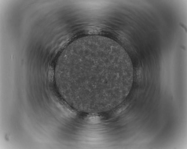 X0000102230228200808151737
