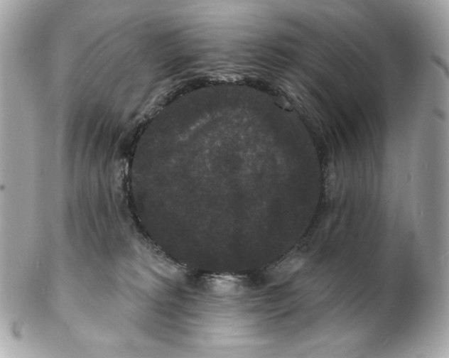 X0000102230229200808151737