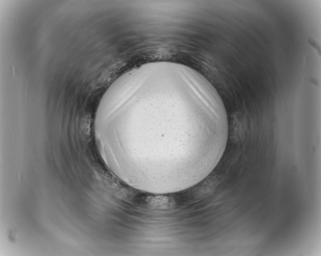 X0000102230230200808151737