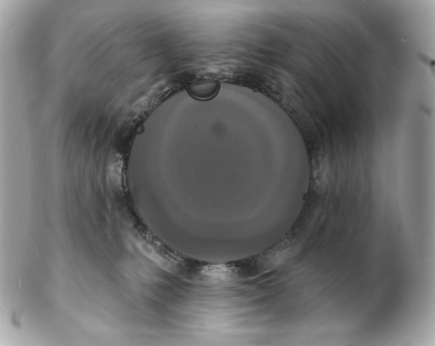 X0000102230231200808151737
