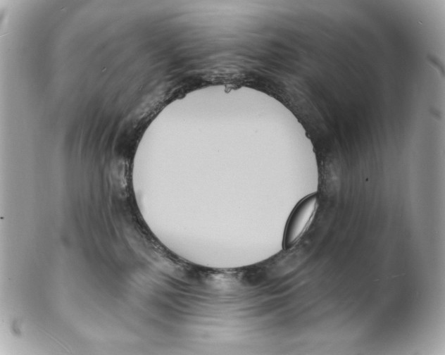 X0000102230232200808151737