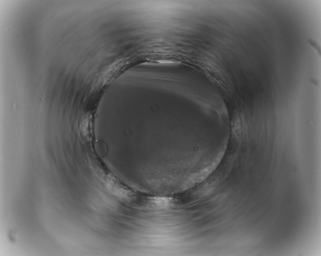 X0000102230233200808151737