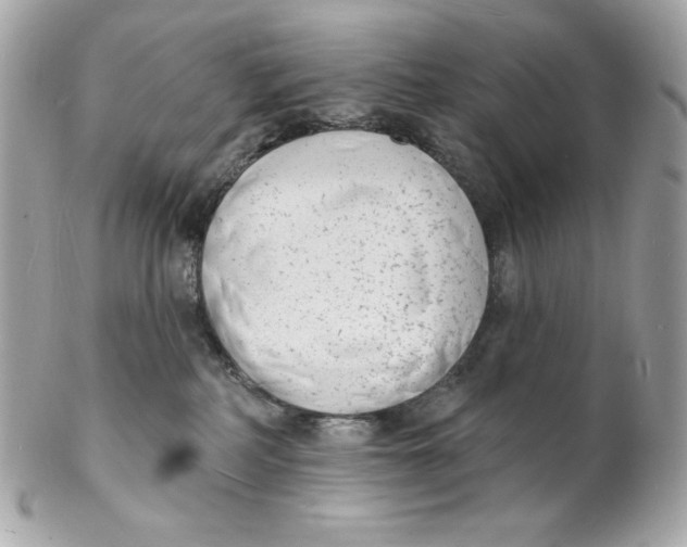 X0000102230234200808151737