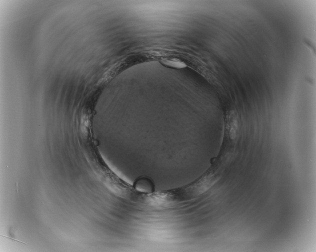 X0000102230235200808151737