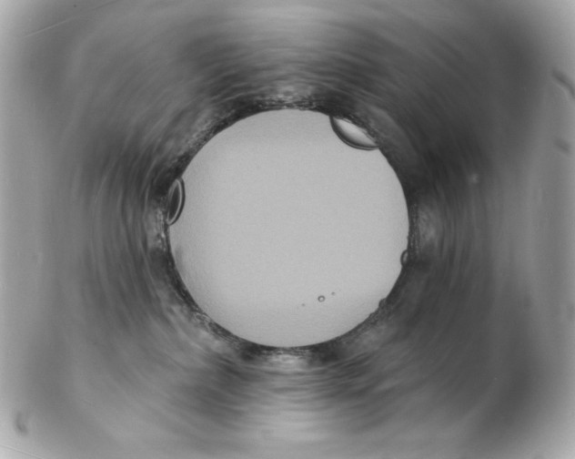X0000102230236200808151737