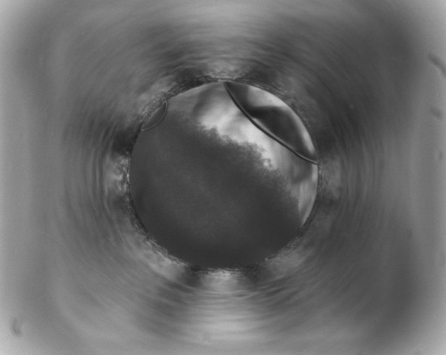 X0000102230237200808151737